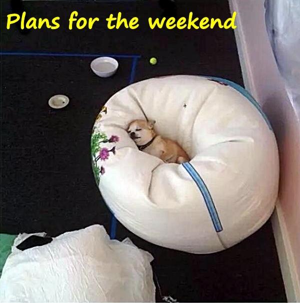 Plans for the weekend