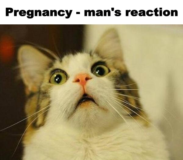Pregnancy - man's reaction