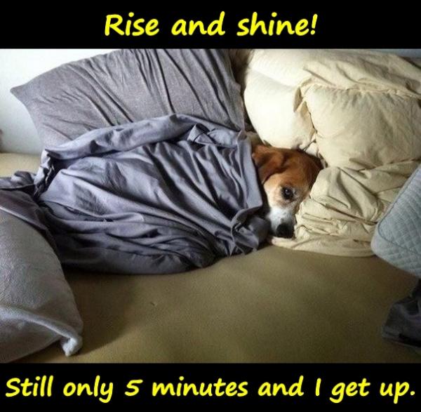 Rise and shine! Still only 5 minutes and I get up.