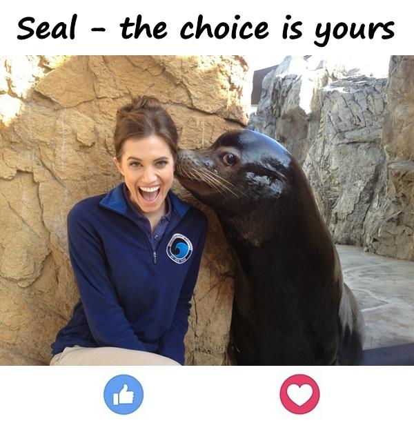 Seal - the choice is yours