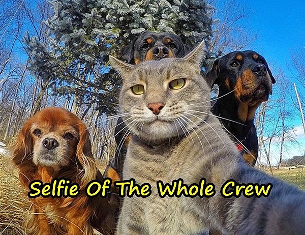 Selfie Of The Whole Crew