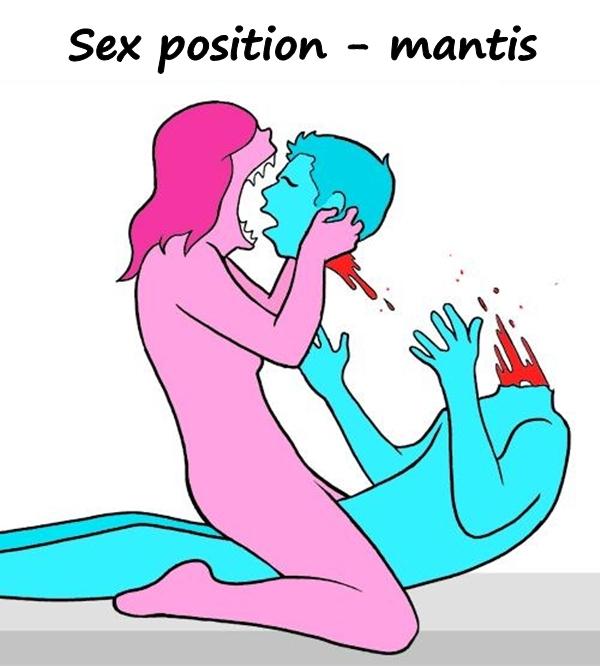 Sex position - mantis