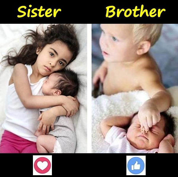 Siblings - sister vs. brother