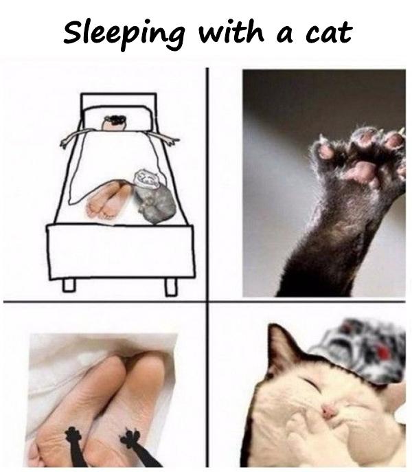 Sleeping with a cat