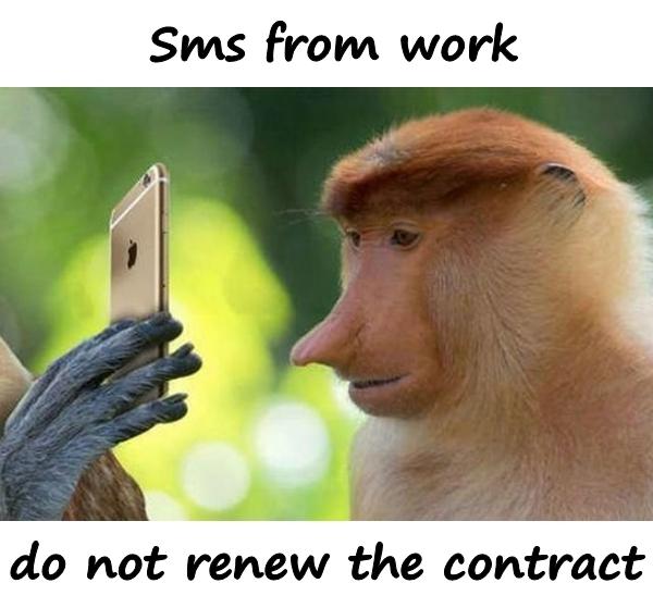 Sms from work, do not renew the contract