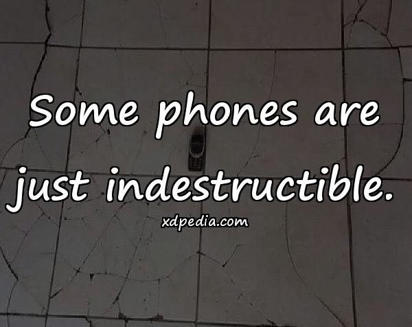 Some phones are just indestructible.