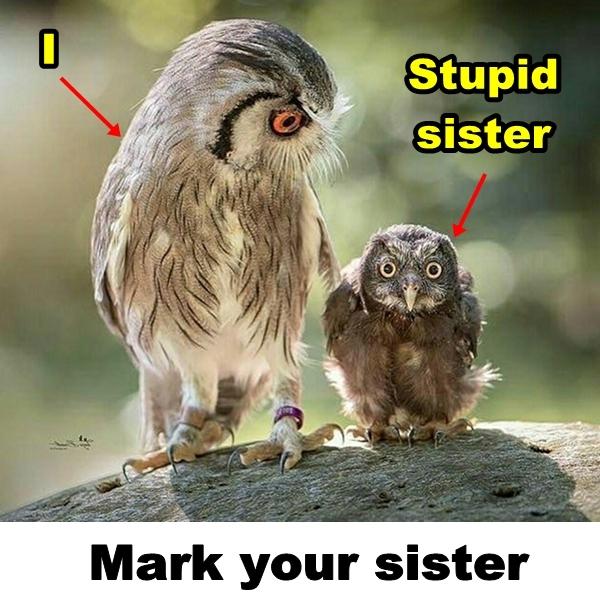 Stupid sister. Mark your sister.