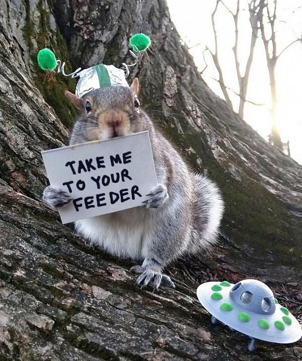 Take me to your feeder