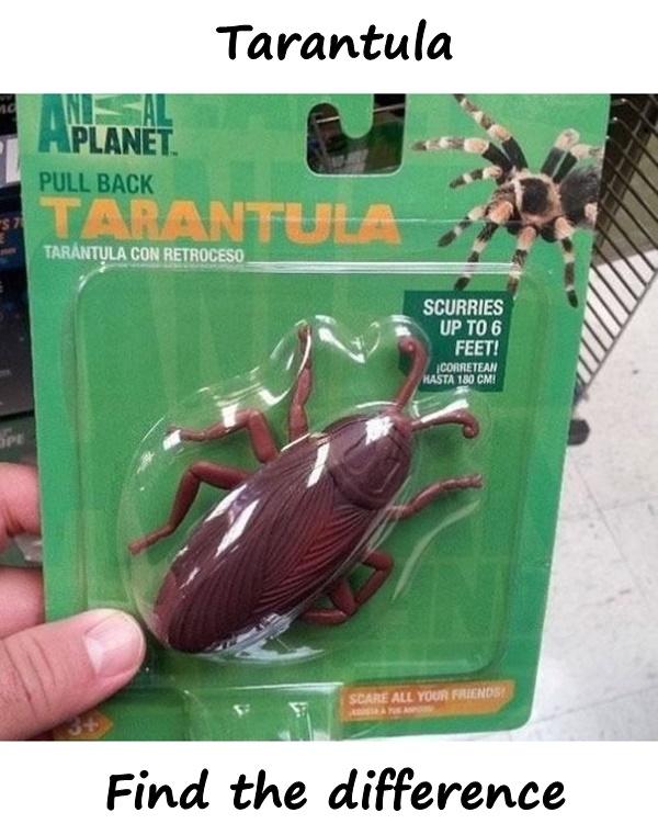 Tarantula - find differences