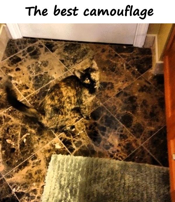 The best camouflage