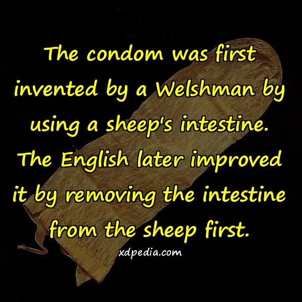The condom was first invented by a Welshman by using a sheep's intestine. The English later improved it by removing the intestine from the sheep first.