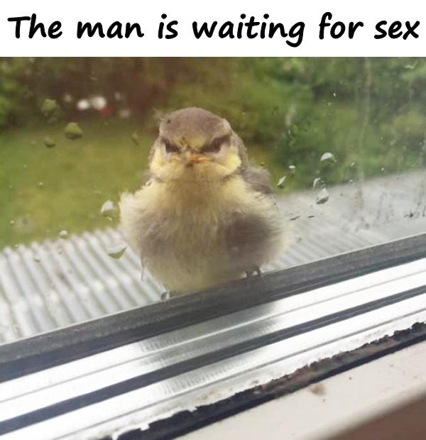 The man is waiting for sex