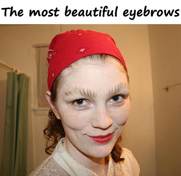 The most beautiful eyebrows