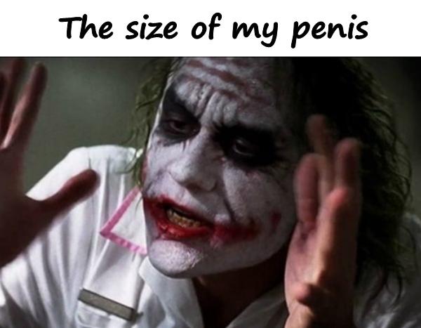 The size of my penis
