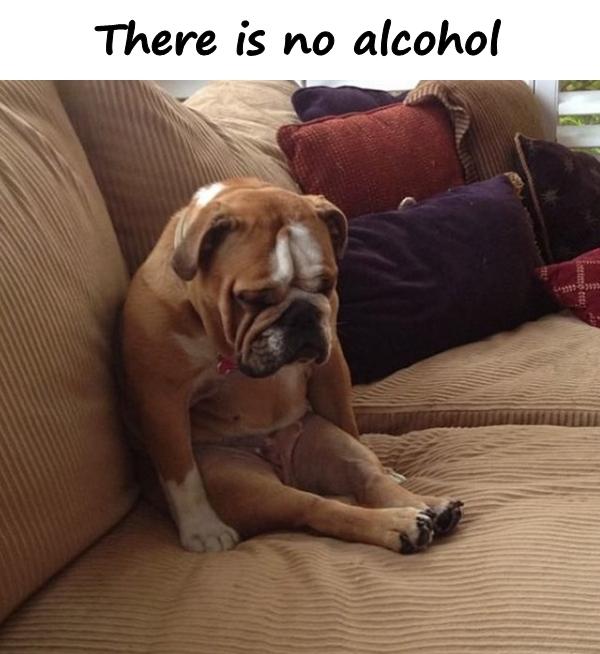 There is no alcohol
