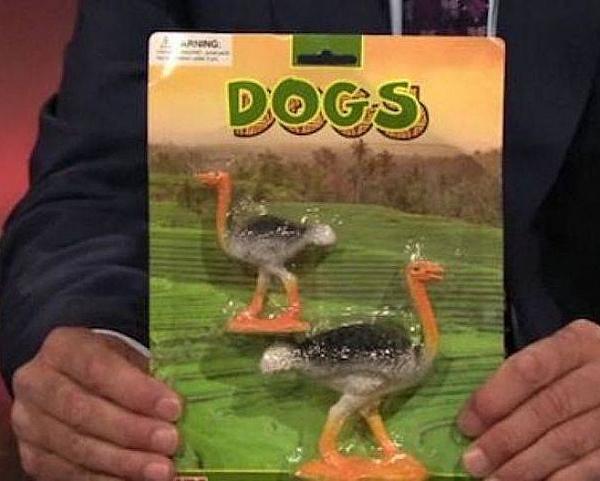 Those are not dogs
