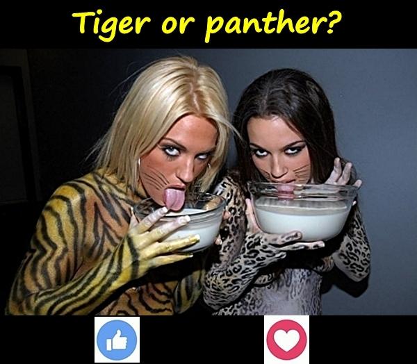 Tiger or panther?