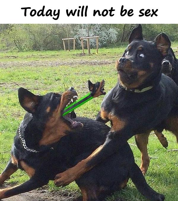 Today will not be sex