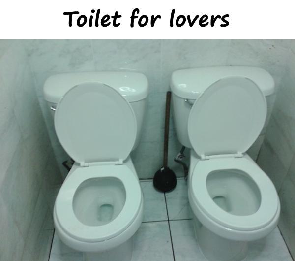 Toilet for lovers