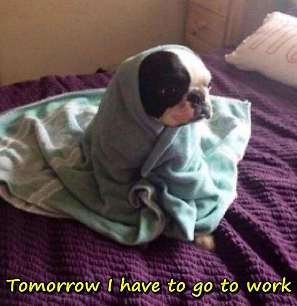Tomorrow I have to go to work