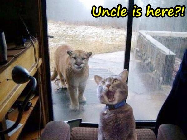 Uncle is here?!