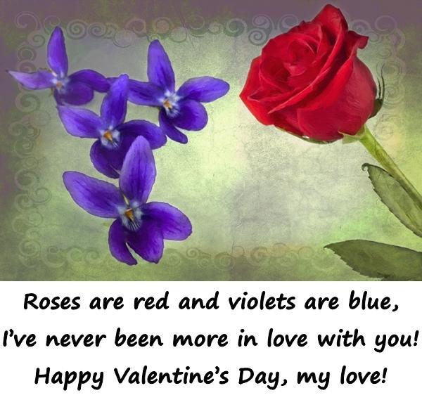 Roses are red and violets are blue, Ive never been more in love with you! Happy Valentines Day, my love!