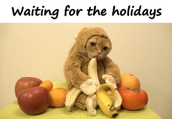 Waiting for the holidays