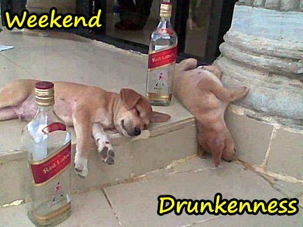 Weekend - drunkenness