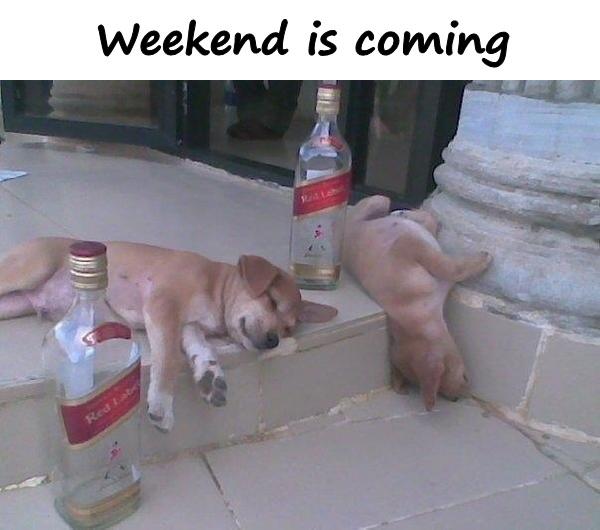 Weekend is coming