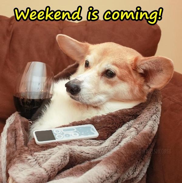 Weekend is coming!