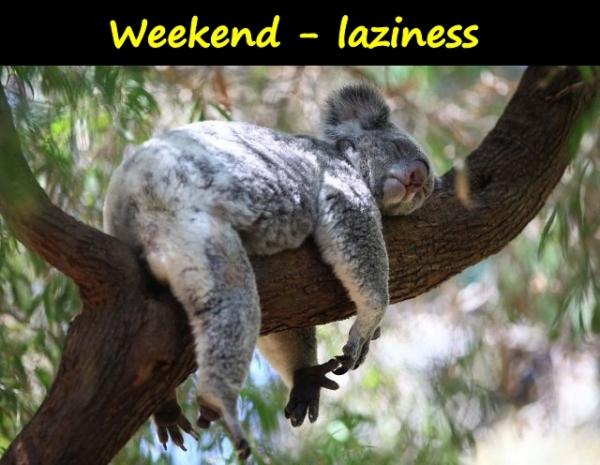 Weekend - laziness