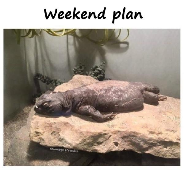 Weekend plan