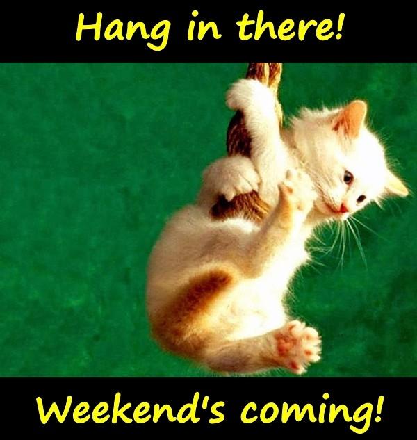 Hang in there! Weekend's coming!