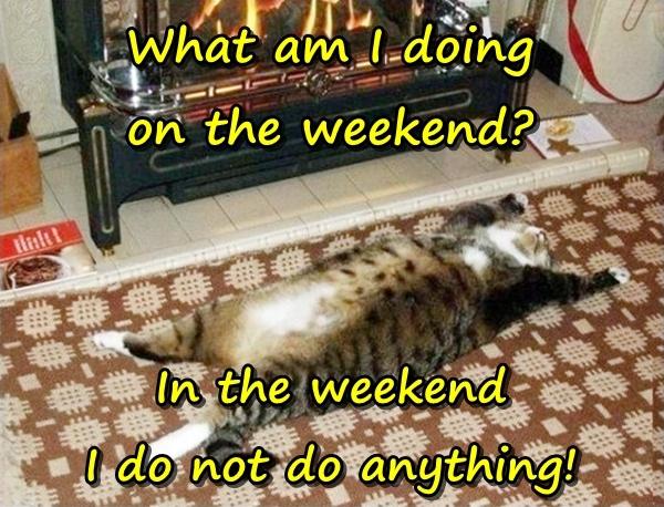 What am I doing on the weekend? In the weekend I do not do anything!