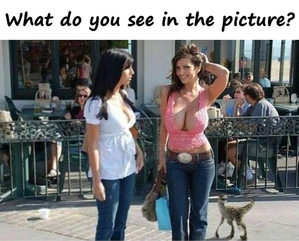 What do you see in the picture?