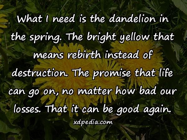 What I need is the dandelion in the spring. The bright yellow that means rebirth instead of destruction. The promise that life can go on, no matter how bad our losses. That it can be good again.