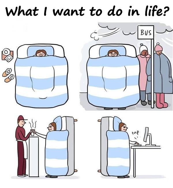 What I want to do in life?