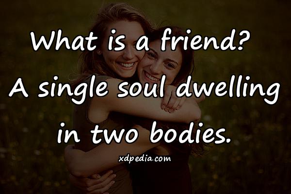 What is a friend? A single soul dwelling in two bodies.