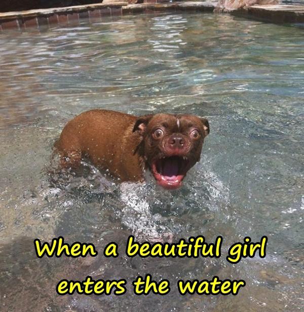 When a beautiful girl enters the water