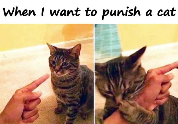 When I want to punish a cat