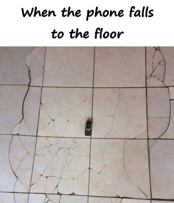 When the phone falls to the floor