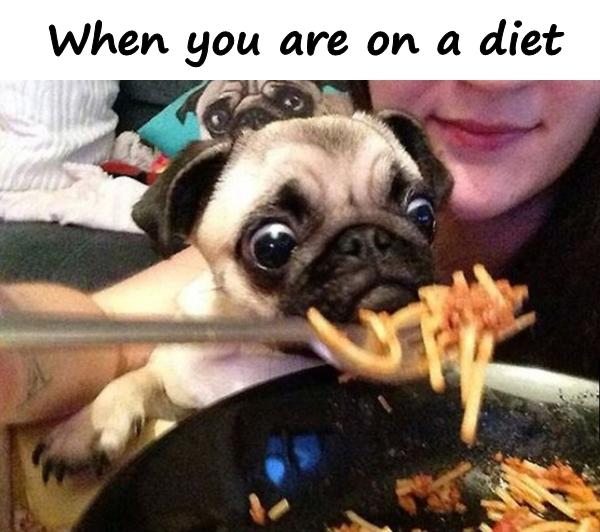 When you are on a diet