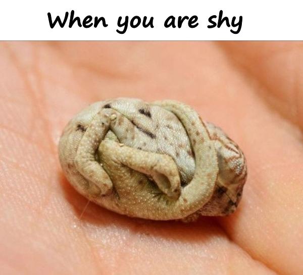 When you are shy