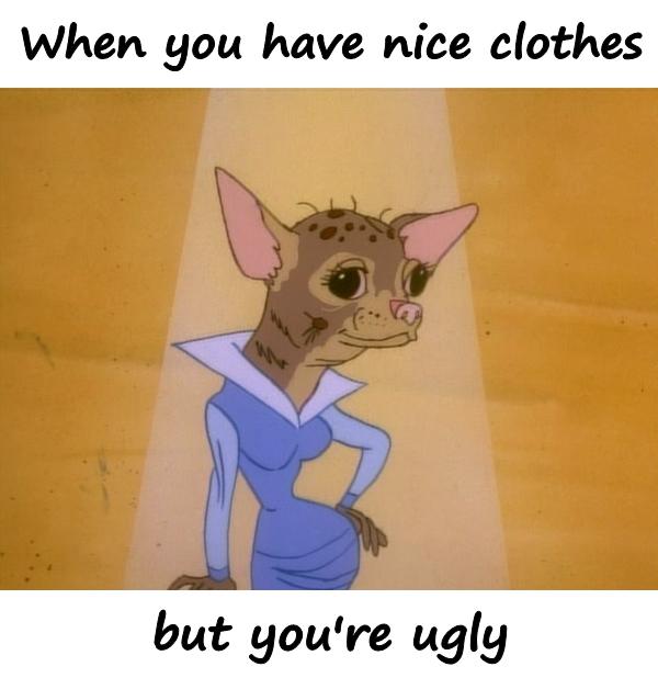 When you have nice clothes, but you're ugly