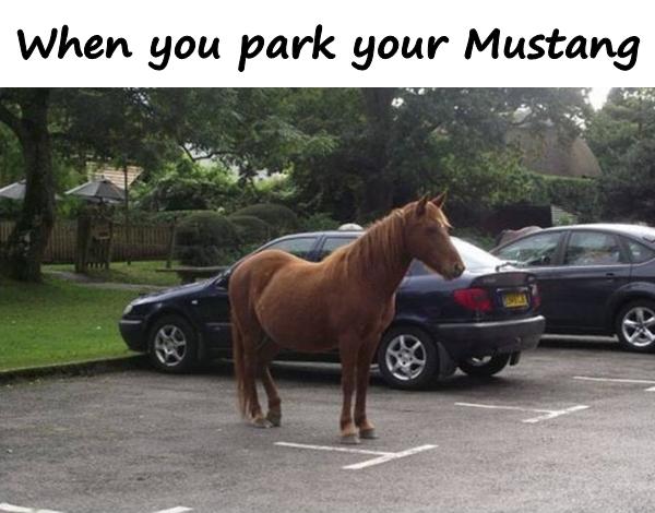 When you park your Mustang