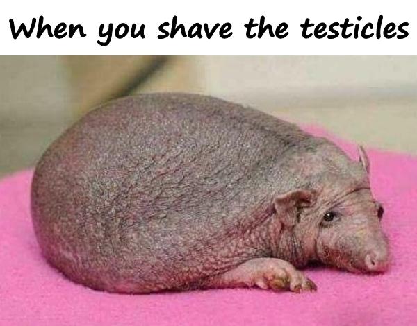 When you shave the testicles