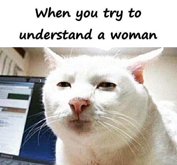 When you try to understand a woman