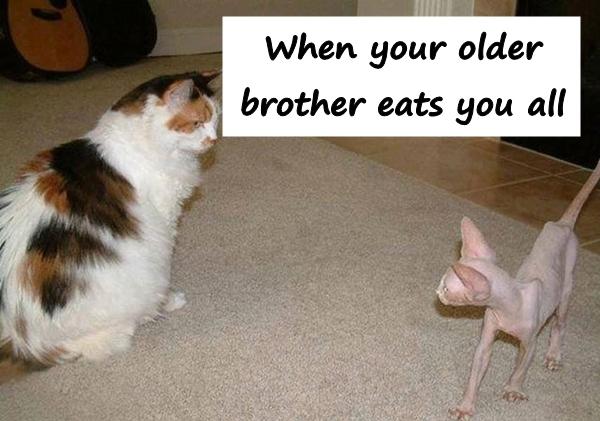 When your older brother eats you all