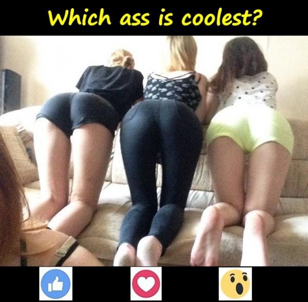 Which ass is coolest?
