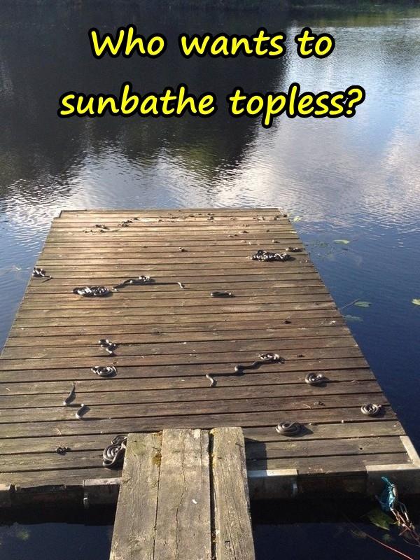 Who wants to sunbathe topless?
